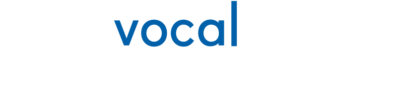 NVS Logo