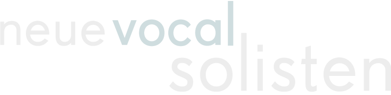 NVS Logo